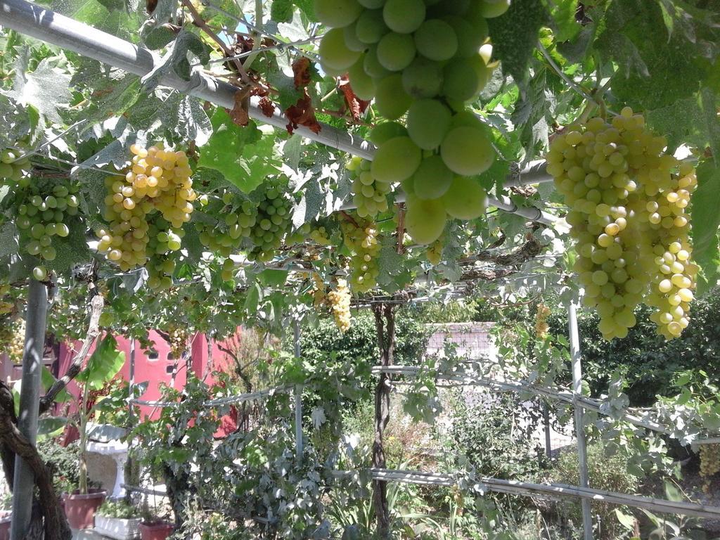 Sinarádes Malotu Resort מראה חיצוני תמונה